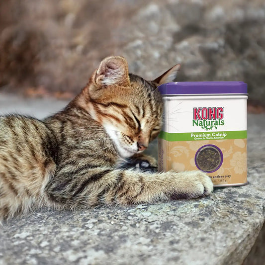 Naturals Catnip