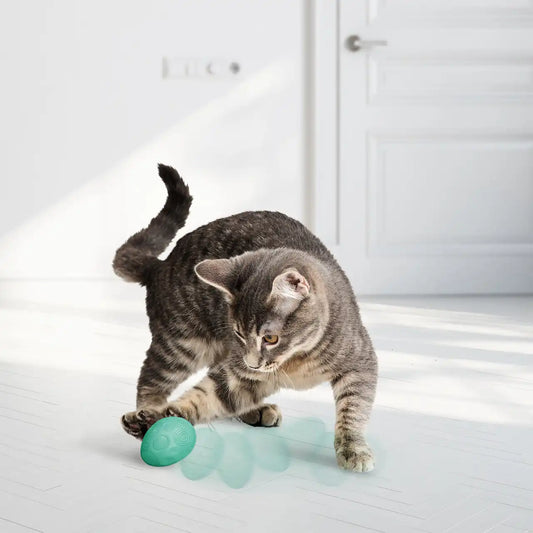 Infused™ Catnip Egg 2-pk